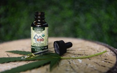 CBD Bioavailability: What Does it Mean?